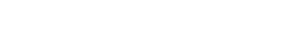 Kybernetický štít demokracie